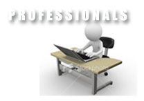 professionals and businesses